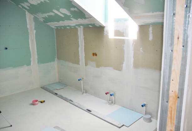 Best Air Quality Testing for Mold Spores  in Stepping Stone, CO