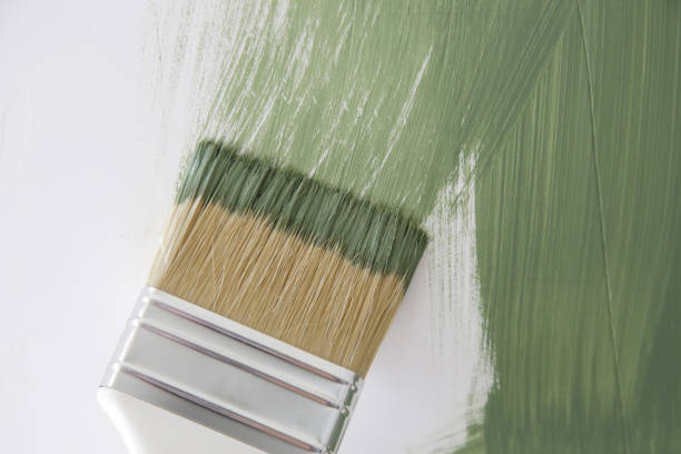 Best Mold Prevention Services  in Stepping Stone, CO
