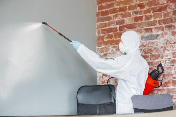 Best Asbestos and Lead Testing During Mold Inspection  in Stepping Stone, CO