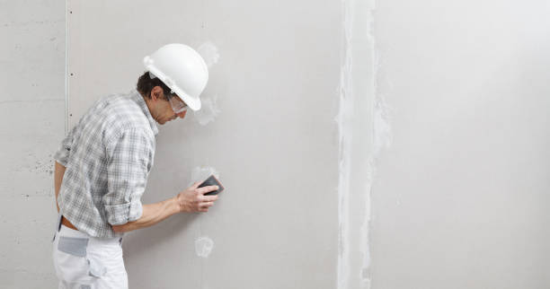 Stepping Stone, CO Mold Removal Company