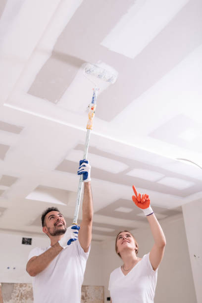 Best Basement Mold Removal  in Stepping Stone, CO