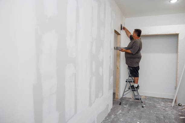 Best Mold-Related Health Consultation  in Stepping Stone, CO