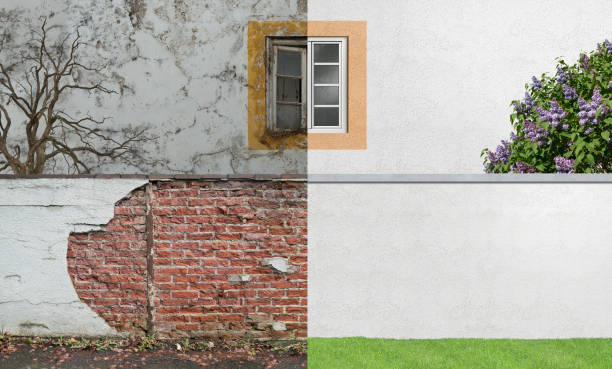 Stepping Stone, CO Mold Removal Company